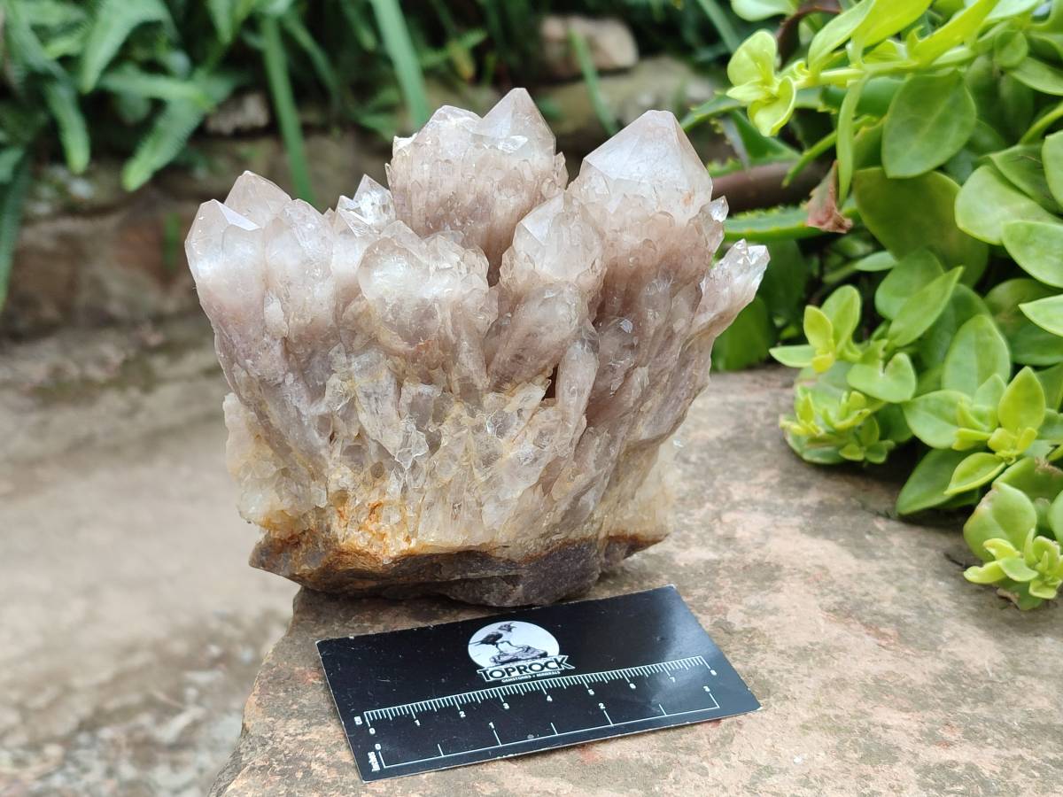 Natural Luena White Phantom Cascading Smokey Quartz x 2 From Luena, Congo - Toprock Gemstones and Minerals 