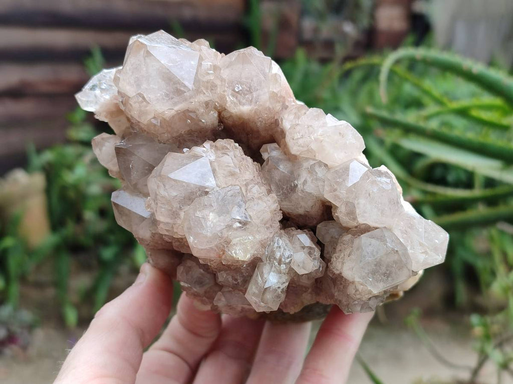 Natural Luena White Phantom Cascading Smokey Quartz x 2 From Luena, Congo - Toprock Gemstones and Minerals 