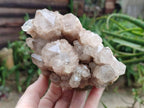 Natural Luena White Phantom Cascading Smokey Quartz x 2 From Luena, Congo - Toprock Gemstones and Minerals 