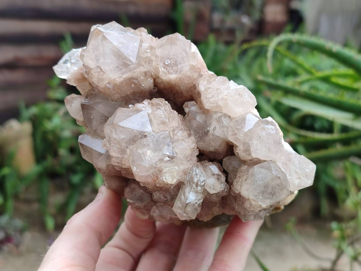 Natural Luena White Phantom Cascading Smokey Quartz x 2 From Luena, Congo - Toprock Gemstones and Minerals 