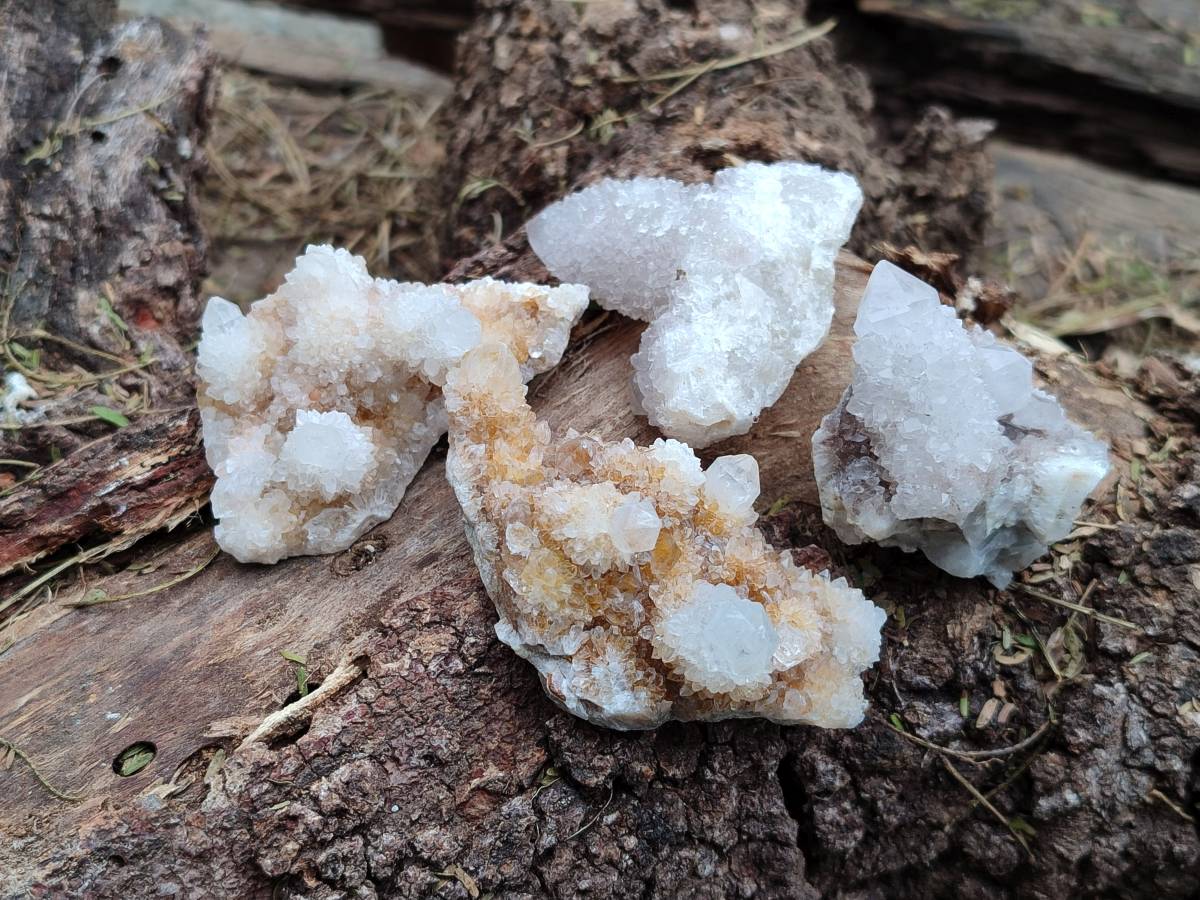 Natural White Spirit Quartz Clusters x 35 From Boekenhouthoek, South Africa - Toprock Gemstones and Minerals 