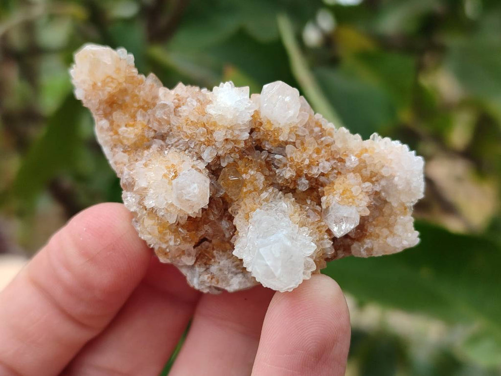 Natural White Spirit Quartz Clusters x 35 From Boekenhouthoek, South Africa - Toprock Gemstones and Minerals 