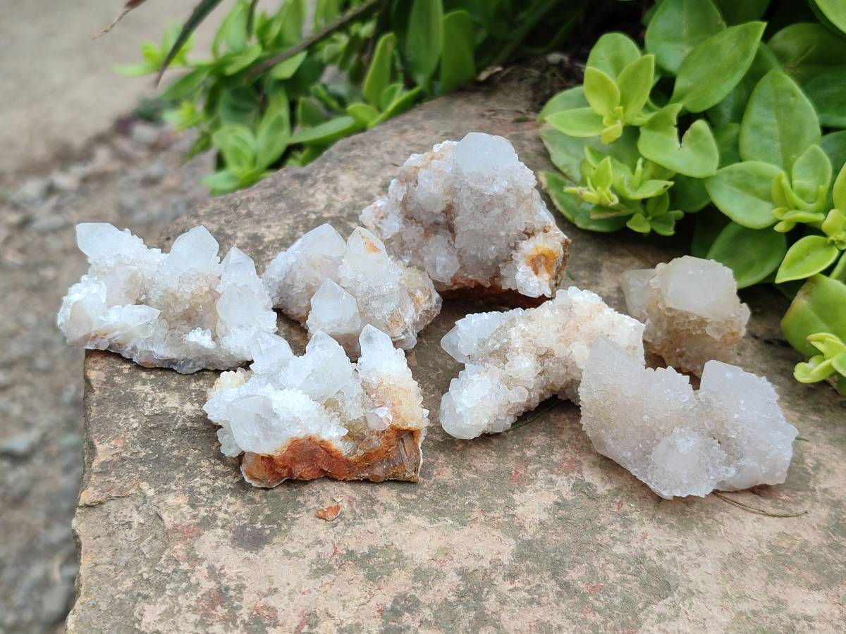 Natural White Spirit Quartz Clusters x 35 From Boekenhouthoek, South Africa - Toprock Gemstones and Minerals 