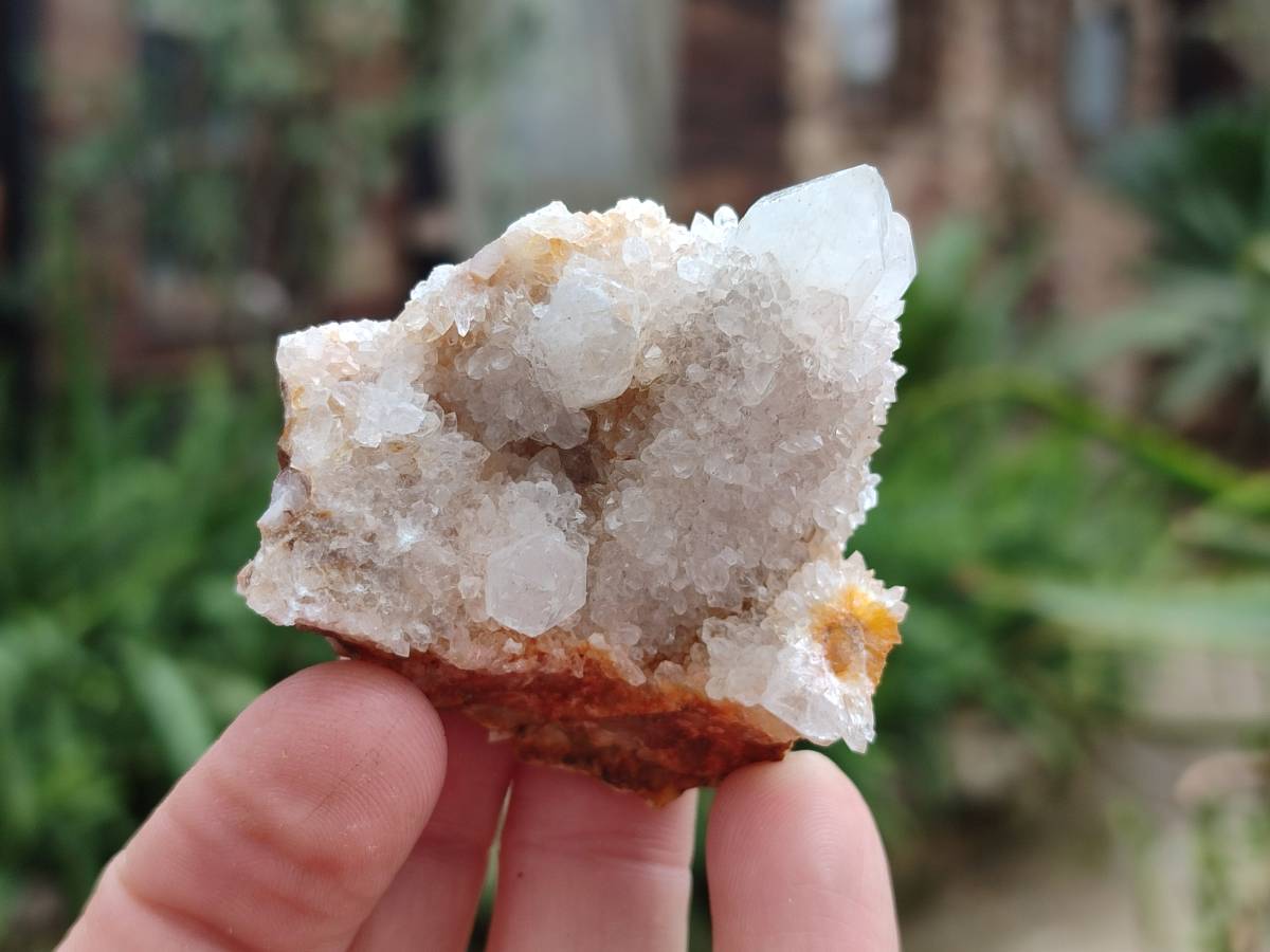 Natural White Spirit Quartz Clusters x 35 From Boekenhouthoek, South Africa - Toprock Gemstones and Minerals 