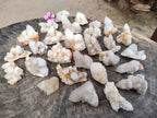 Natural White Spirit Quartz Clusters x 35 From Boekenhouthoek, South Africa - Toprock Gemstones and Minerals 