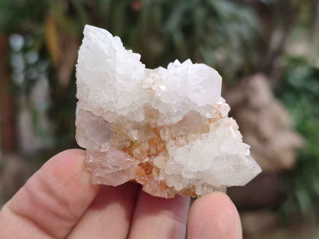Natural White Spirit Quartz Clusters x 35 From Boekenhouthoek, South Africa - Toprock Gemstones and Minerals 
