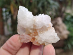 Natural White Spirit Quartz Clusters x 35 From Boekenhouthoek, South Africa - Toprock Gemstones and Minerals 