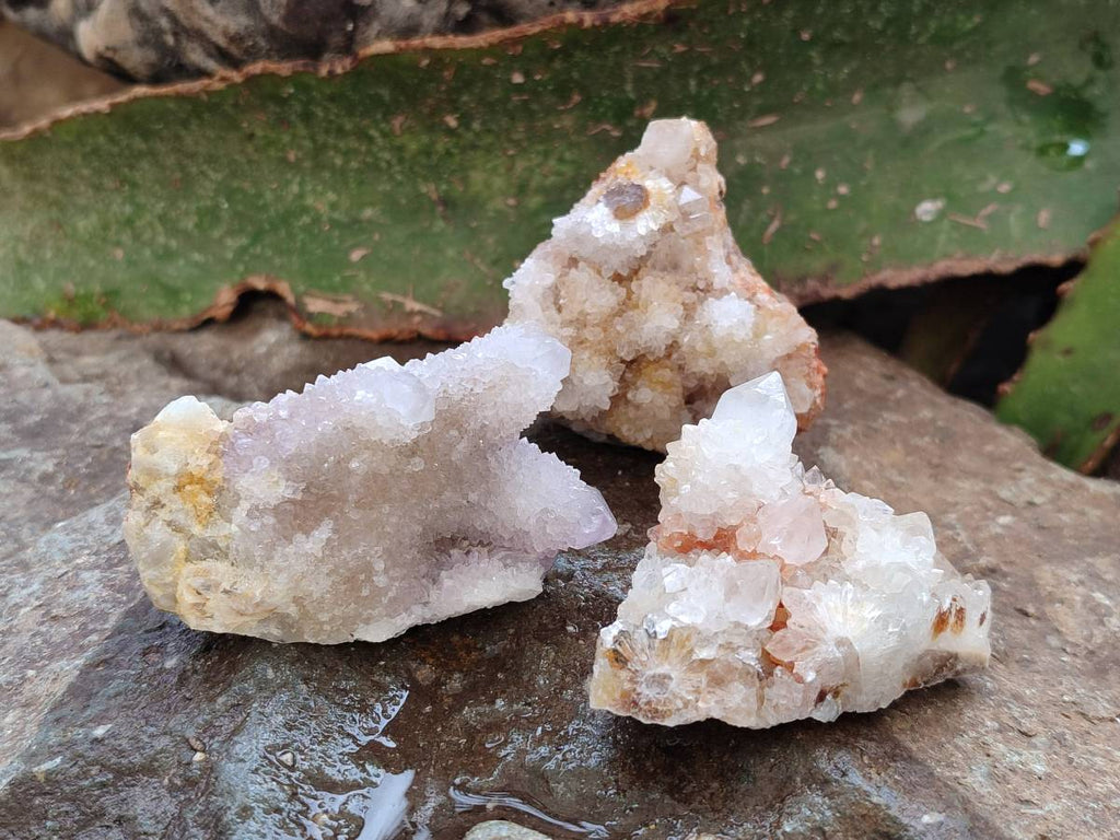 Natural White Spirit Quartz Clusters x 35 From Boekenhouthoek, South Africa - Toprock Gemstones and Minerals 
