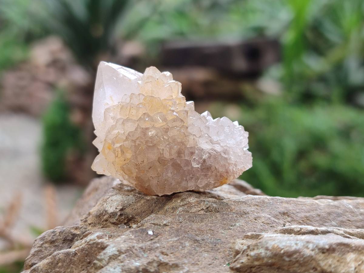 Natural White Spirit Quartz Clusters x 35 From Boekenhouthoek, South Africa - Toprock Gemstones and Minerals 