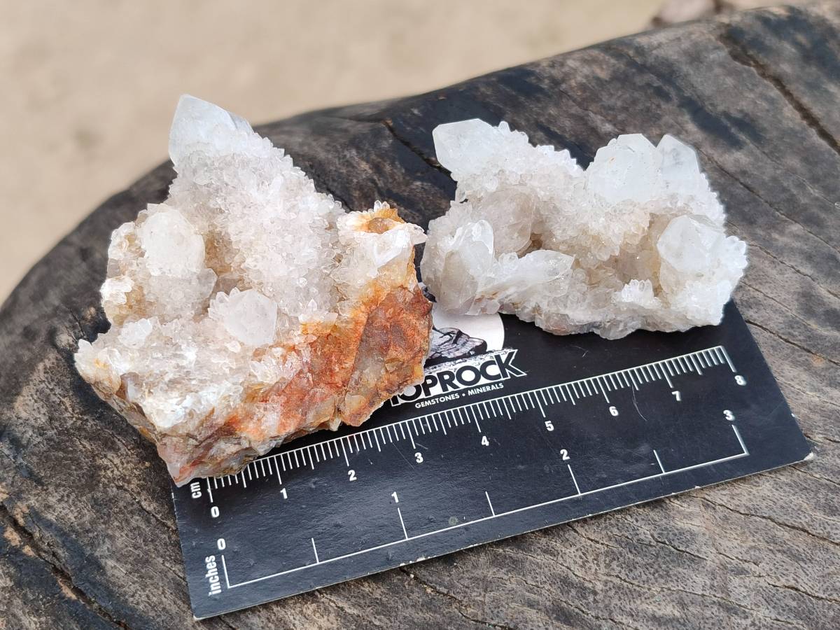 Natural White Spirit Quartz Clusters x 35 From Boekenhouthoek, South Africa - Toprock Gemstones and Minerals 