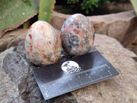 Polished Mixed Selected Multi Mineral Eggs x 12 From Southern Africa - Toprock Gemstones and Minerals 
