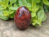 Polished Mixed Selected Multi Mineral Eggs x 12 From Southern Africa - Toprock Gemstones and Minerals 