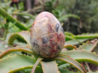Polished Mixed Selected Multi Mineral Eggs x 12 From Southern Africa - Toprock Gemstones and Minerals 