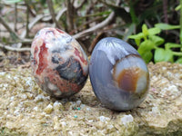 Polished Mixed Selected Multi Mineral Eggs x 12 From Southern Africa - Toprock Gemstones and Minerals 