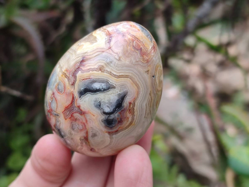 Polished Mixed Selected Multi Mineral Eggs x 12 From Southern Africa - Toprock Gemstones and Minerals 