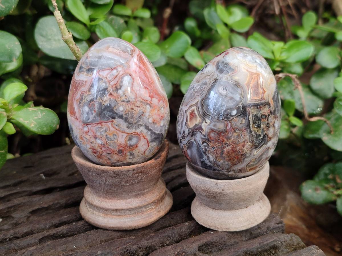 Polished Mixed Selected Multi Mineral Eggs x 12 From Southern Africa - Toprock Gemstones and Minerals 