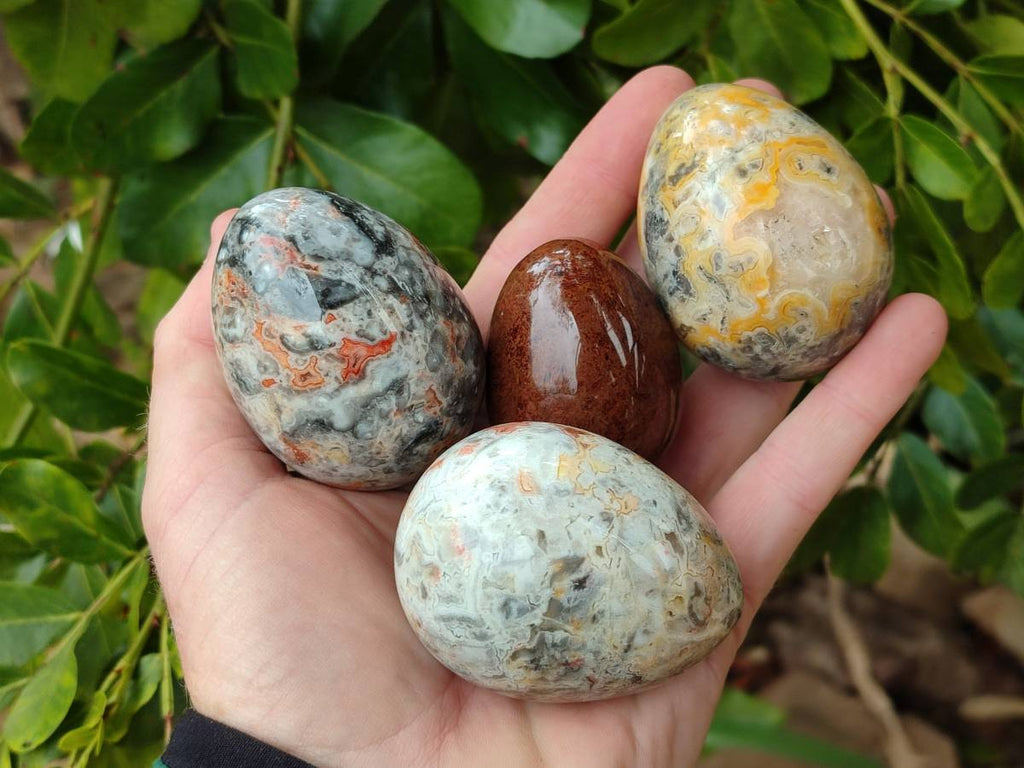 Polished Mixed Selected Multi Mineral Eggs x 12 From Southern Africa - Toprock Gemstones and Minerals 