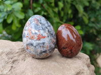 Polished Mixed Selected Multi Mineral Eggs x 12 From Southern Africa - Toprock Gemstones and Minerals 