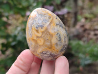 Polished Mixed Selected Multi Mineral Eggs x 12 From Southern Africa - Toprock Gemstones and Minerals 