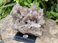 Natural Luena White Phantom Cascading Smokey Quartz x 1 From Luena, Congo - Toprock Gemstones and Minerals 