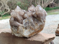 Natural Luena White Phantom Cascading Smokey Quartz x 1 From Luena, Congo - Toprock Gemstones and Minerals 
