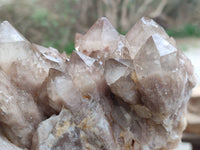 Natural Luena White Phantom Cascading Smokey Quartz x 1 From Luena, Congo - Toprock Gemstones and Minerals 
