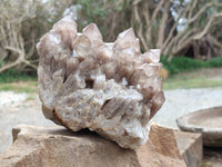 Natural Luena White Phantom Cascading Smokey Quartz x 1 From Luena, Congo - Toprock Gemstones and Minerals 