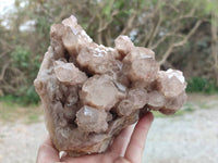 Natural Luena White Phantom Cascading Smokey Quartz x 1 From Luena, Congo - Toprock Gemstones and Minerals 