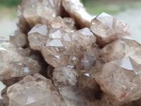 Natural Luena White Phantom Cascading Smokey Quartz x 1 From Luena, Congo - Toprock Gemstones and Minerals 
