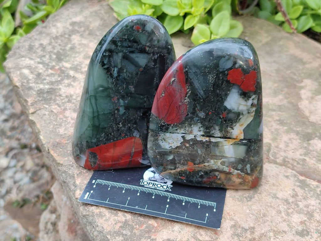 Polished Bloodstone Standing Free Form x 3 From Swaziland - Toprock Gemstones and Minerals 