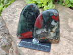 Polished Bloodstone Standing Free Form x 3 From Swaziland - Toprock Gemstones and Minerals 