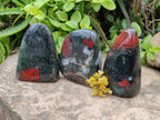 Polished Bloodstone Standing Free Form x 3 From Swaziland - Toprock Gemstones and Minerals 