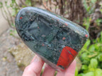 Polished Bloodstone Standing Free Form x 3 From Swaziland - Toprock Gemstones and Minerals 