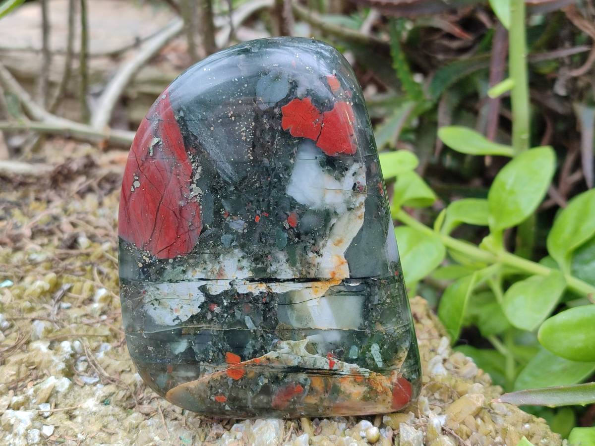 Polished Bloodstone Standing Free Form x 3 From Swaziland - Toprock Gemstones and Minerals 
