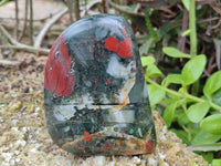 Polished Bloodstone Standing Free Form x 3 From Swaziland - Toprock Gemstones and Minerals 