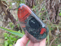 Polished Bloodstone Standing Free Form x 3 From Swaziland - Toprock Gemstones and Minerals 