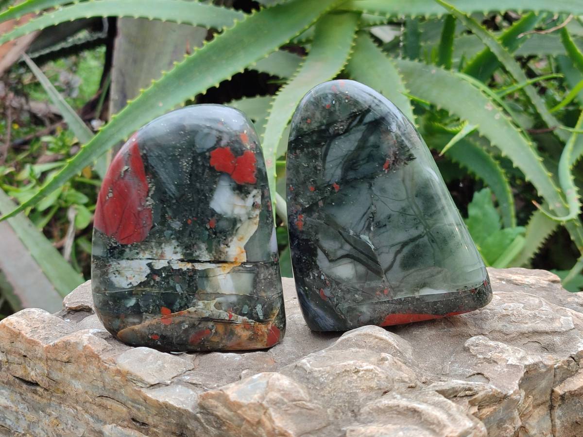 Polished Bloodstone Standing Free Form x 3 From Swaziland - Toprock Gemstones and Minerals 