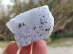 Natural Etched Blue Chalcedony Geodes x 12 From Nsanje, Malawi - Toprock Gemstones and Minerals 