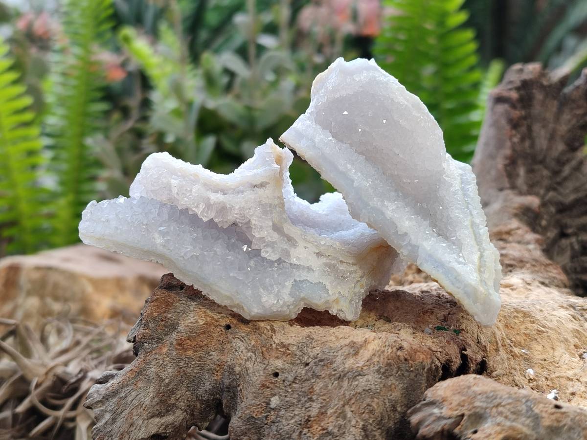 Natural Etched Blue Chalcedony Geodes x 12 From Nsanje, Malawi - Toprock Gemstones and Minerals 