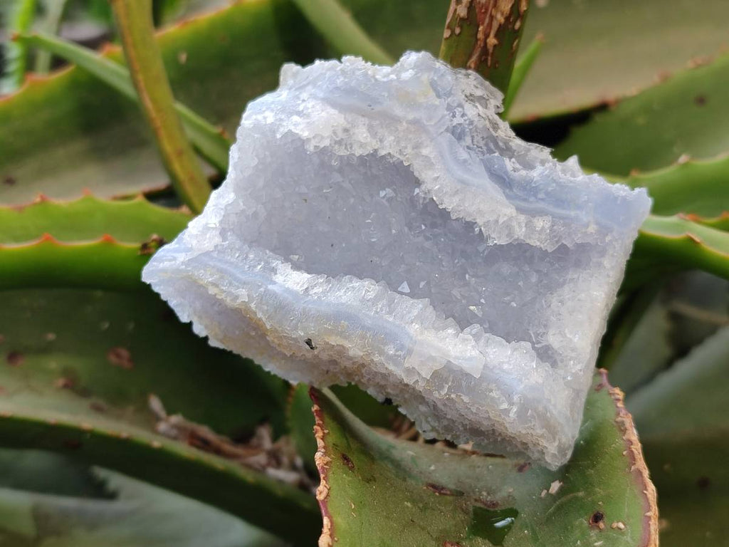 Natural Etched Blue Chalcedony Geodes x 12 From Nsanje, Malawi - Toprock Gemstones and Minerals 