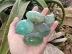 Polished Green Fluorite Gallets x 20  From Madagascar - Toprock Gemstones and Minerals 
