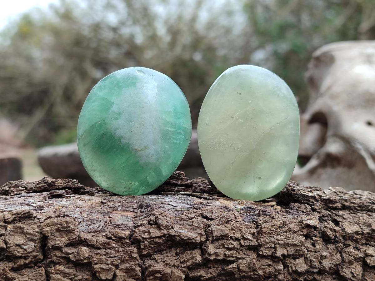 Polished Green Fluorite Gallets x 20  From Madagascar - Toprock Gemstones and Minerals 