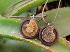 Hand Made Ammonite Pendant - sold per item - From Madagascar - Toprock Gemstones and Minerals 