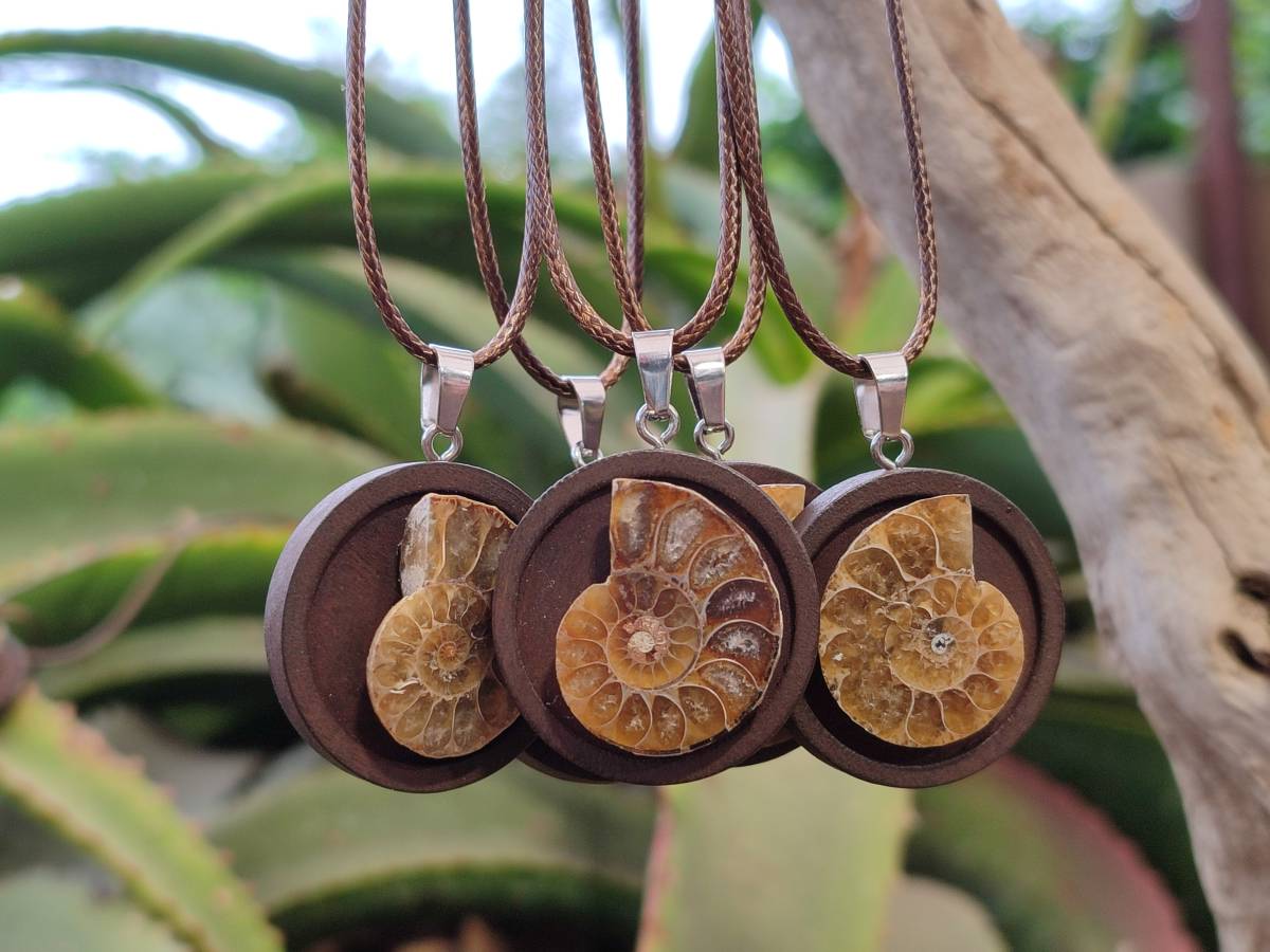 Hand Made Ammonite Pendant - sold per item - From Madagascar - Toprock Gemstones and Minerals 