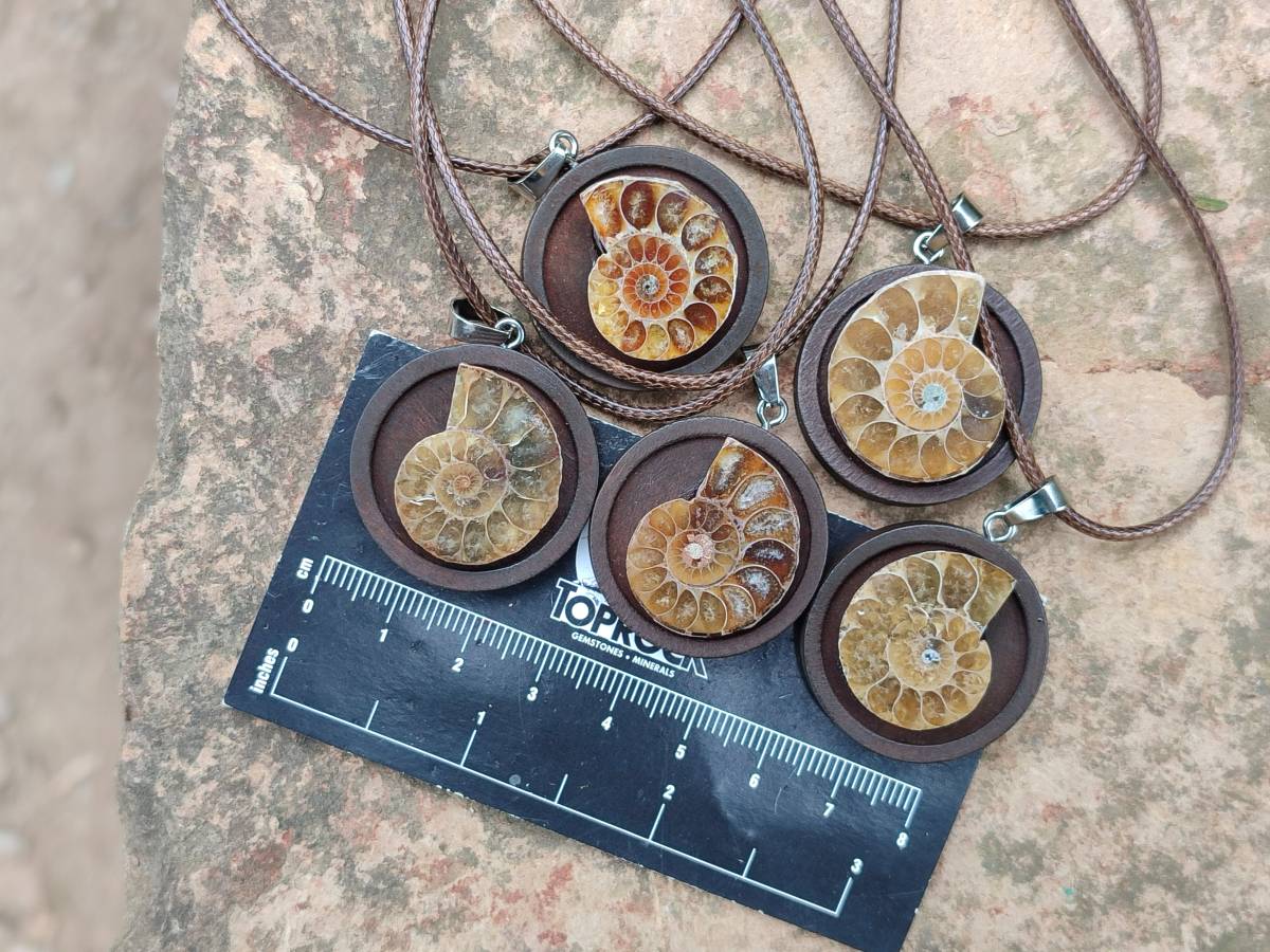 Hand Made Ammonite Pendant - sold per item - From Madagascar - Toprock Gemstones and Minerals 