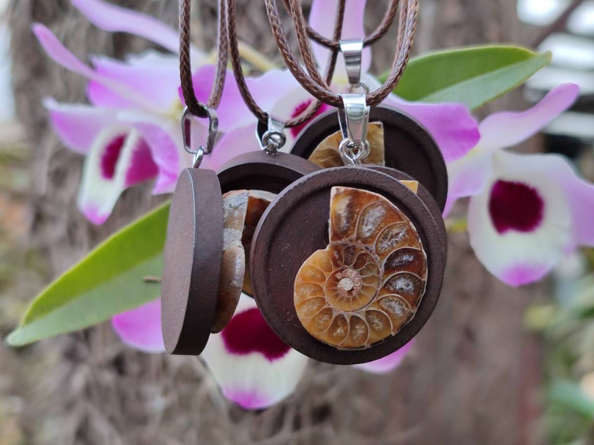 Hand Made Ammonite Pendant - sold per item - From Madagascar - Toprock Gemstones and Minerals 