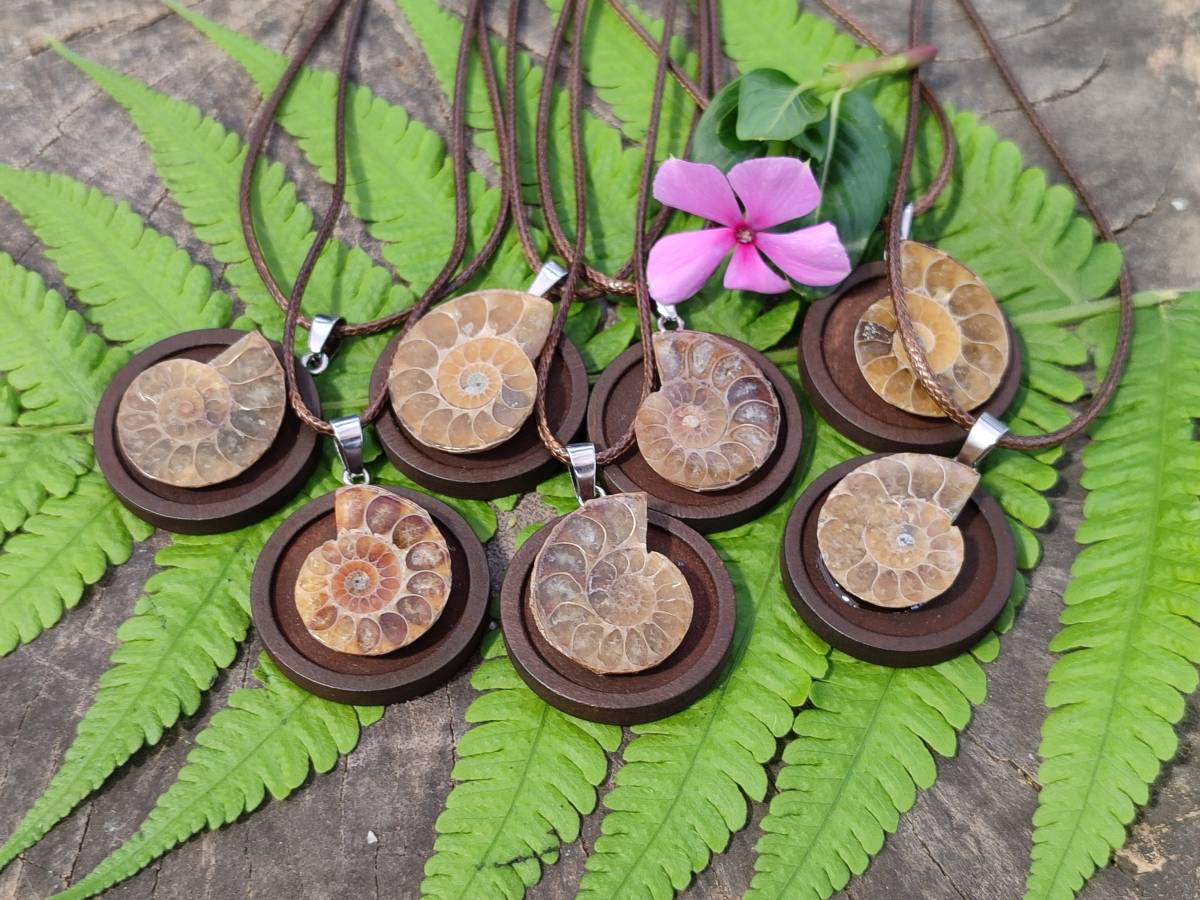 Hand Made Ammonite Pendant - sold per item - From Madagascar - Toprock Gemstones and Minerals 