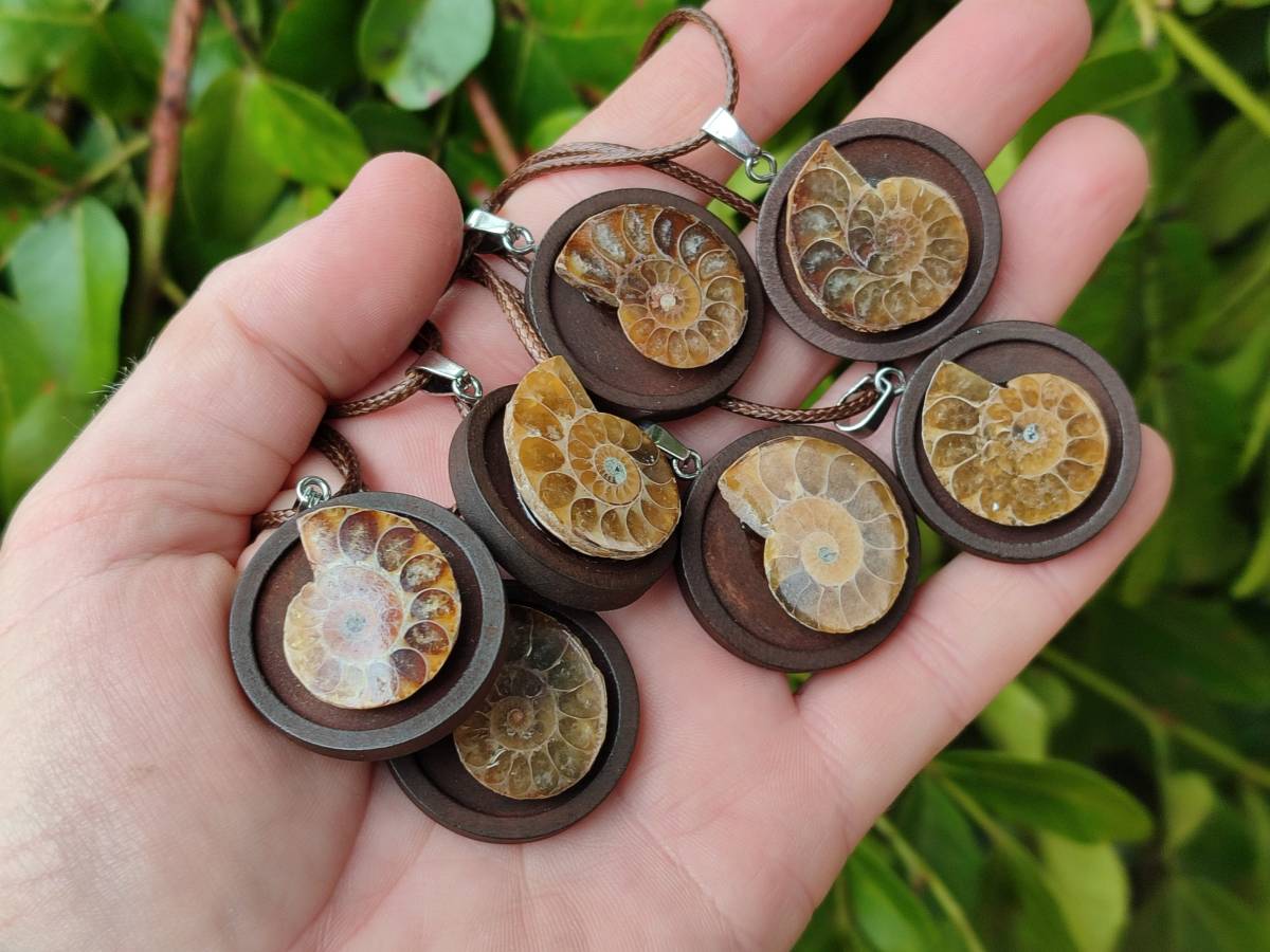 Hand Made Ammonite Pendant - sold per item - From Madagascar - Toprock Gemstones and Minerals 