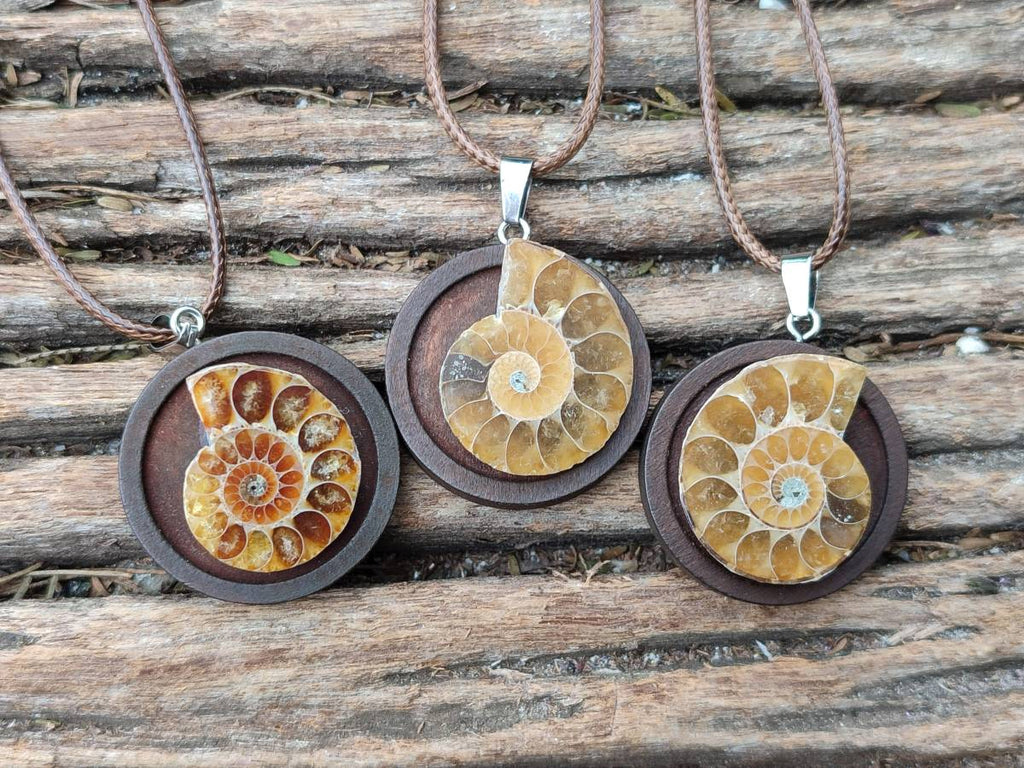 Hand Made Ammonite Pendant - sold per item - From Madagascar - Toprock Gemstones and Minerals 