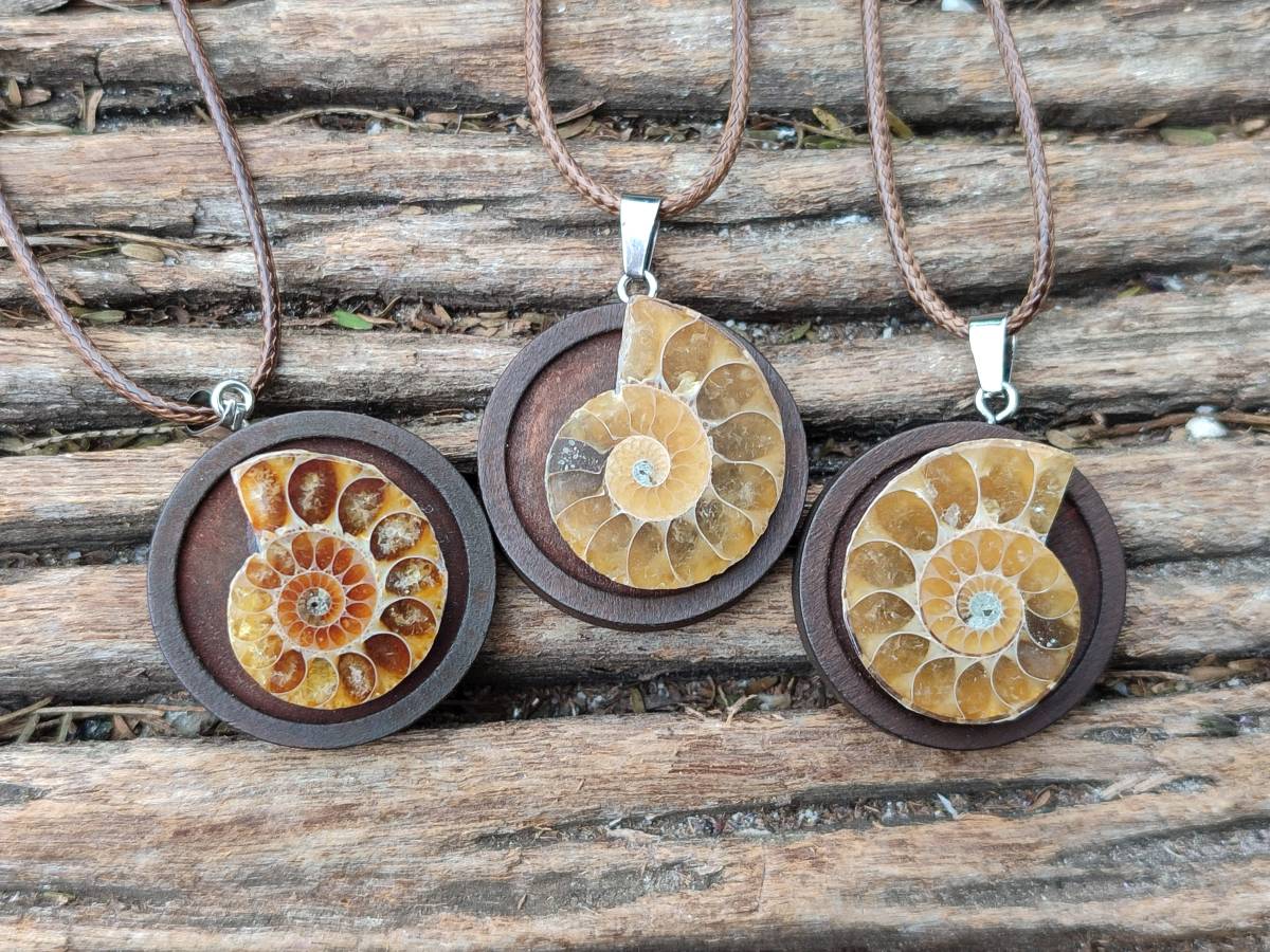 Hand Made Ammonite Pendant - sold per item - From Madagascar - Toprock Gemstones and Minerals 